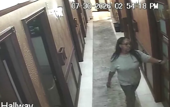 Fake construction worker targets celebrity plastic surgeons in Beverly Hills burglary spree