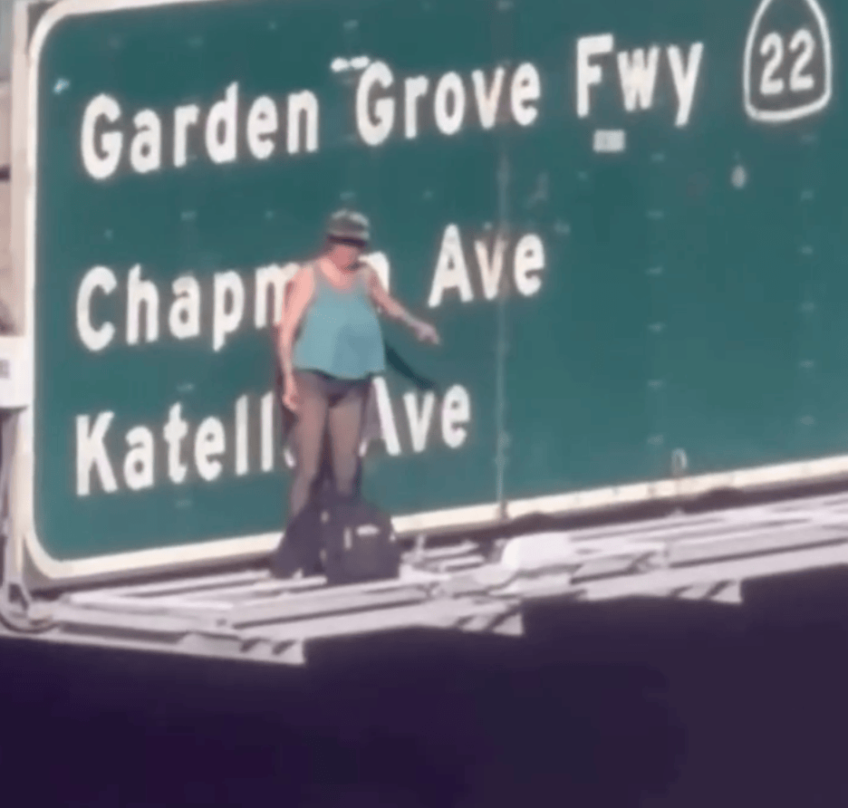 Topless maniac sparks California freeway chaos by scaling bridge, snarling traffic
