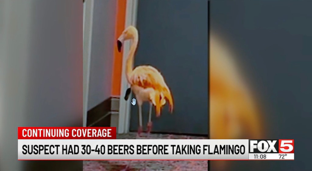 Canadian tourist accused of stealing flamingo from Las Vegas Strip says he drank up to 40 beers before pulling off heist