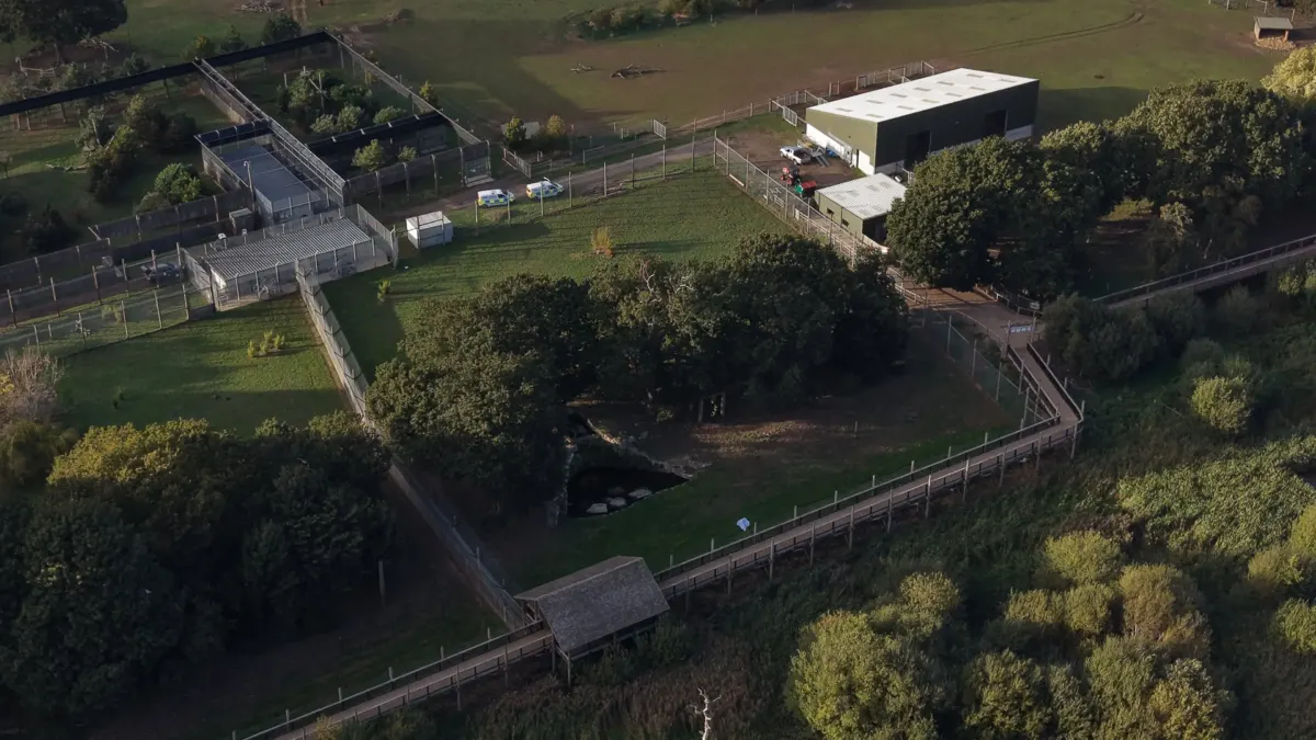 Witnesses share what happened moments before man climbed into tiger enclosure at Yorkshire zoo