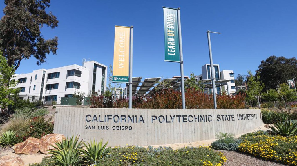 California sorority girls mown down by drunk frat bro in horror Tesla smash, lawsuit claims: ‘Left like run-over garbage’