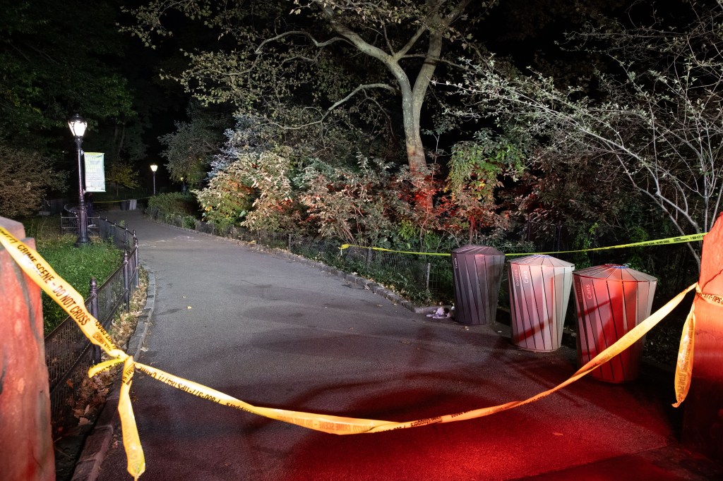 NYC woman sexually assaulted at knifepoint in Central Park: cops