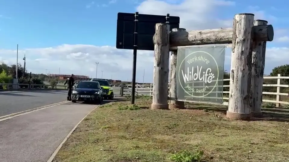 What will happen to tiger now as Yorkshire Wildlife Park give update on animal that fatally attacked man