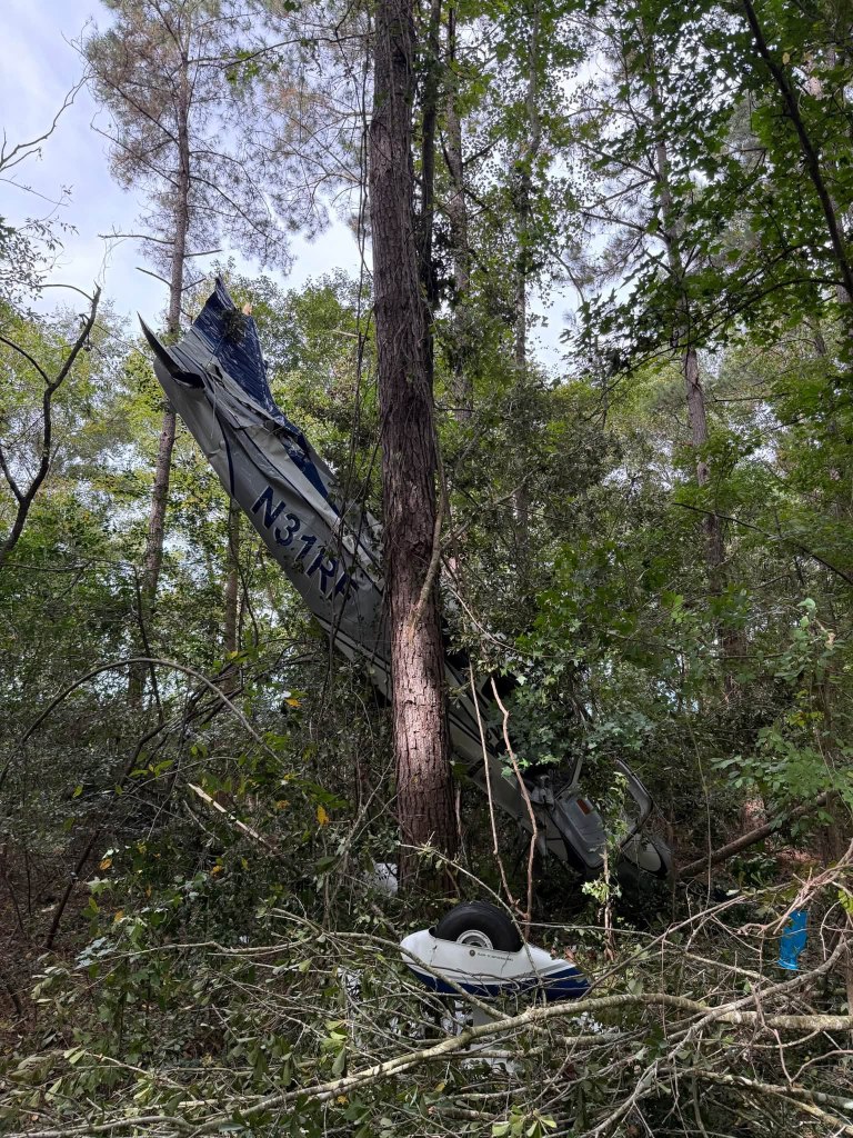 Pilot, wife and dogs survive dramatic tree-top crash landing after plane suffers engine failure: ‘Just pray’