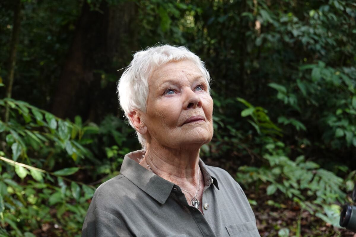 Judi Dench, 91, reveals heartbreaking reason she can’t act anymore