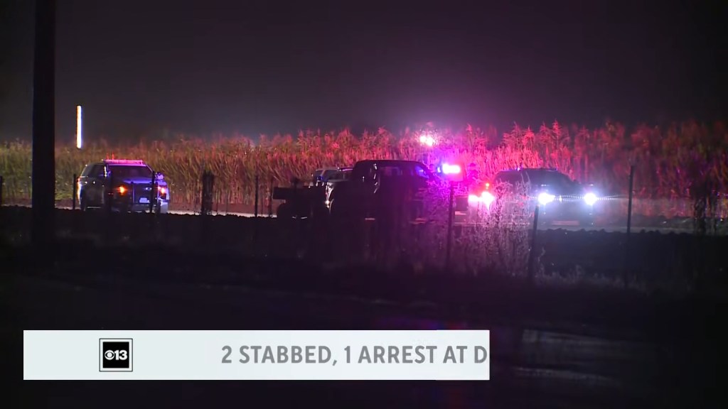 Real-life horror movie as 2 stabbed inside massive California corn maze
