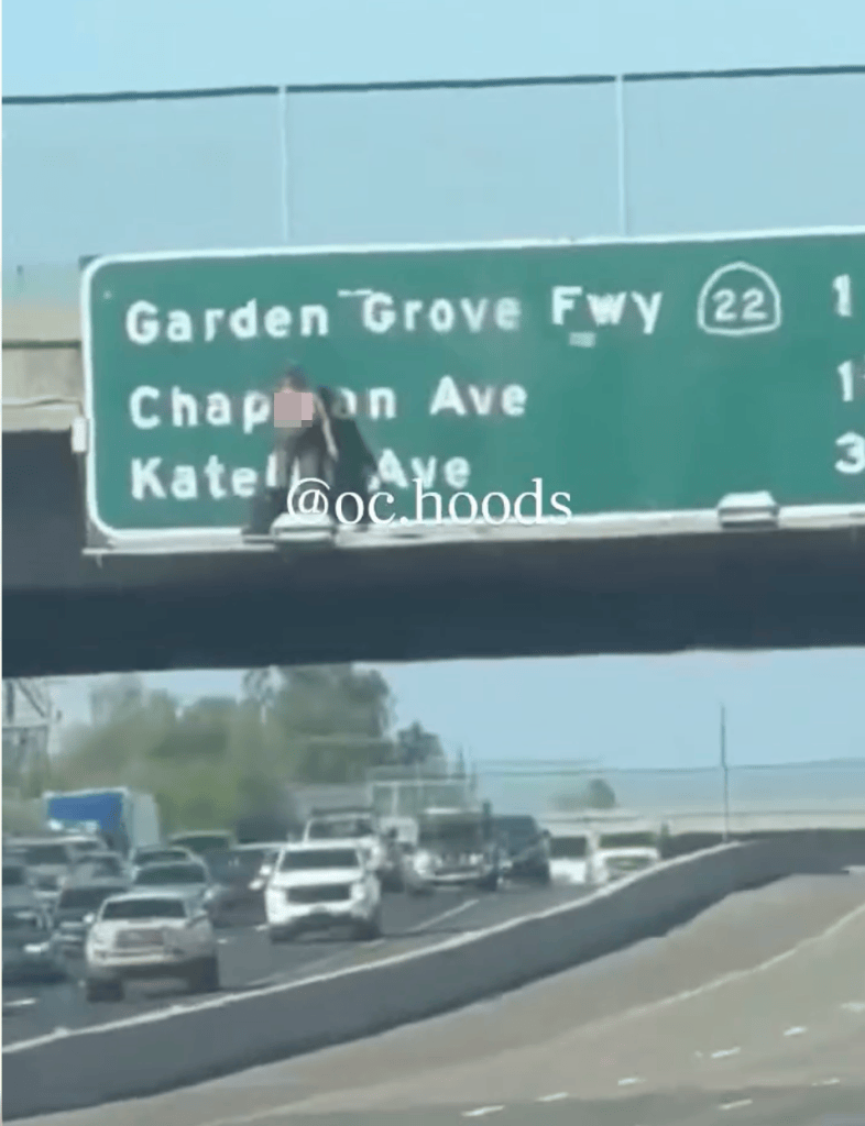 Topless maniac sparks California freeway chaos by scaling bridge, snarling traffic