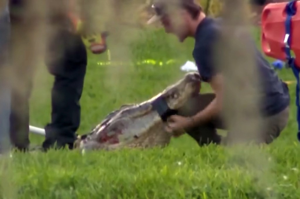 Harrowing new details emerge in death of Florida fisherman savaged by 12-foot alligator on banks of popular lake