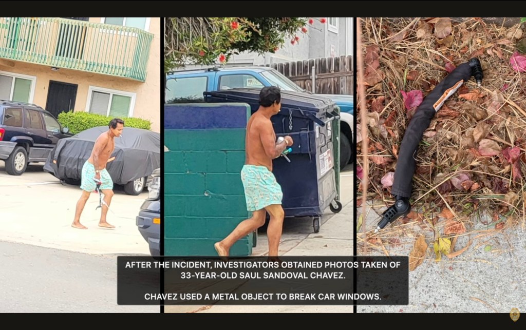 Insane video shows half-naked maniac shooting flamethrower at cops inside California sex shop
