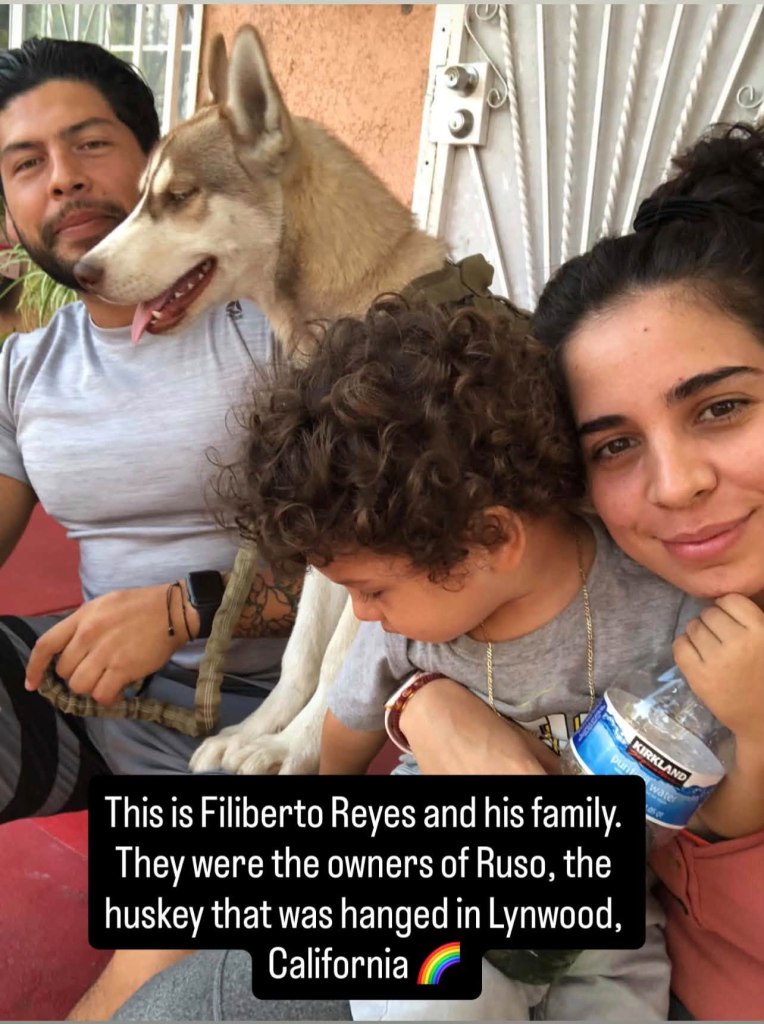 Horror as beloved family dog is found hanged by his leash in alley outside their Los Angeles home