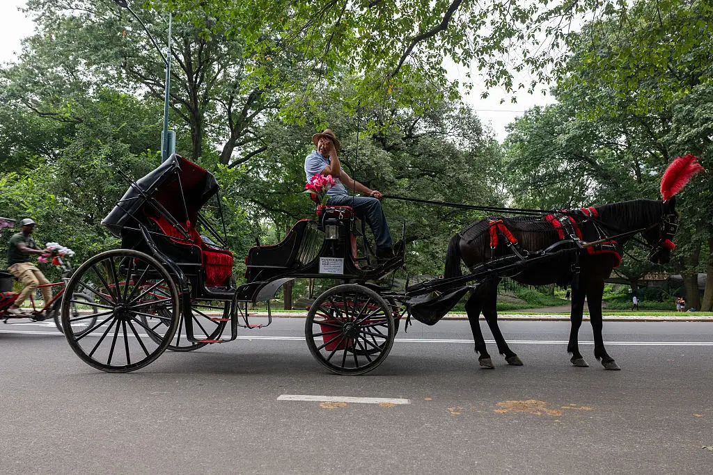 Zohran Mamdani praised for pushing to end 168-year-old 'tradition' in NYC that's 'long overdue'