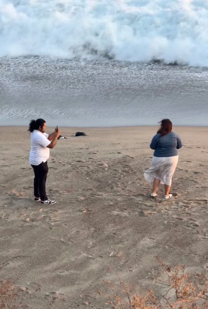 California couple brings social media to tears after actress secretly records their Malibu beach engagement