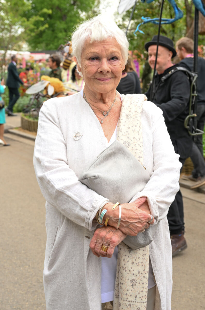 Judi Dench, 91, reveals her ideal way to die while slamming retirement rumors