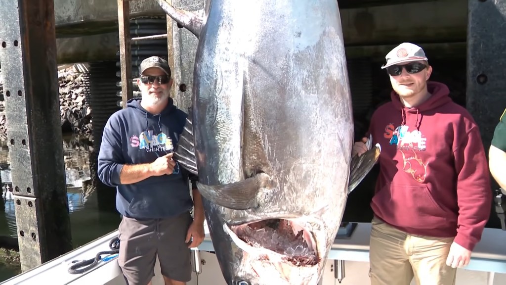 New Hampshire fisherman reels in record-breaking 1,116-pound bluefin tuna, smashing state mark