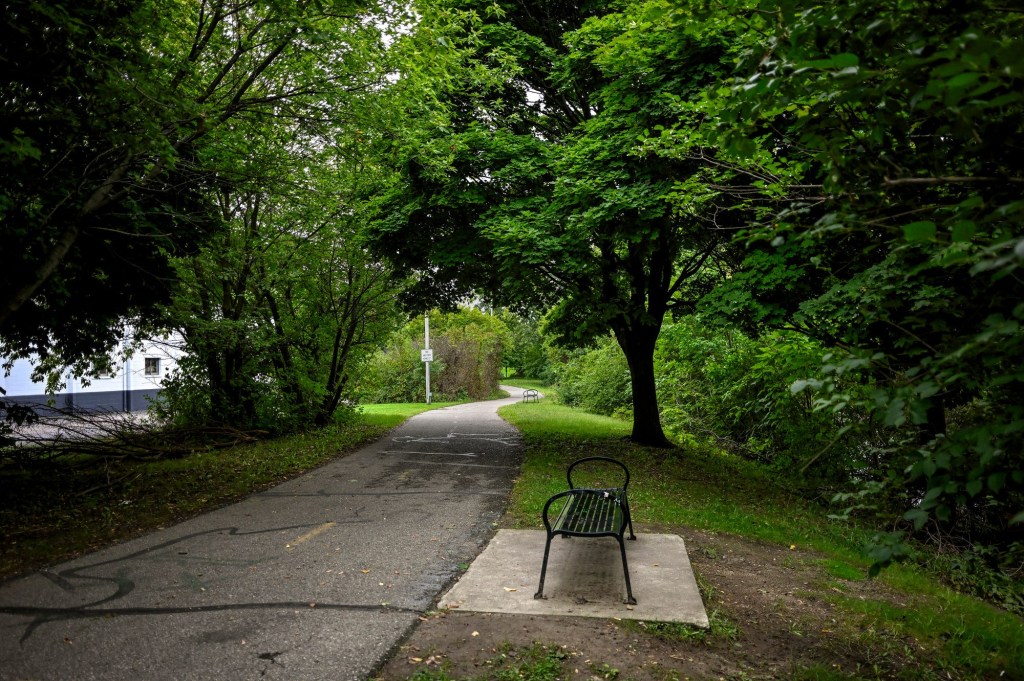Criminology professor shares warning to students amid possible serial killer near Michigan State University