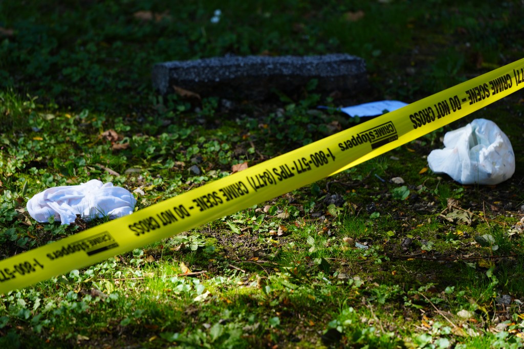 Abuse victim once consoled by NYC mom killed in 15-story shove speaks out: ‘We’re not protected’