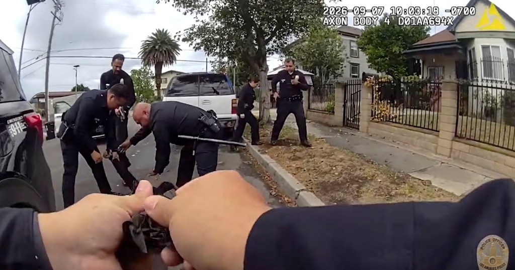 Moment madman with polesaw charges cops before he’s shot dead in bloody scene