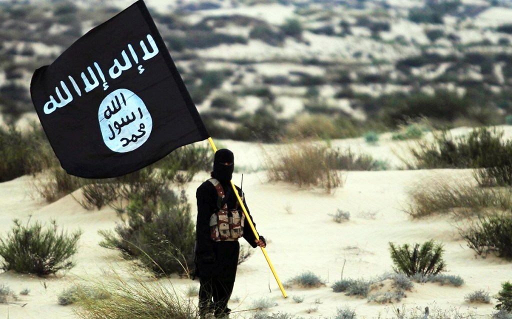 Texas teen, 17, inspired by ISIS to plot assassination of GOP rep pushing for Sharia-free America