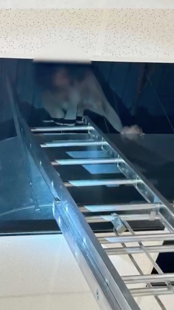 Shirtless burglar hiding in ceiling of Macy’s store dramatically falls from overhead space: shocking video