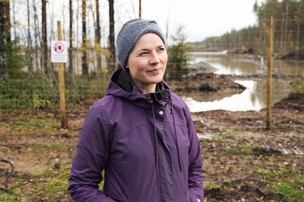Google illegally cut down 250K trees in Finland for data center, driving wolves into villages and infuriating locals: report