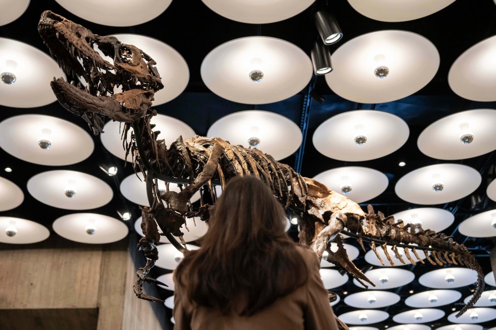 Dinosaur fossil resembling ‘mini T. Rex’ sells for whopping $47M