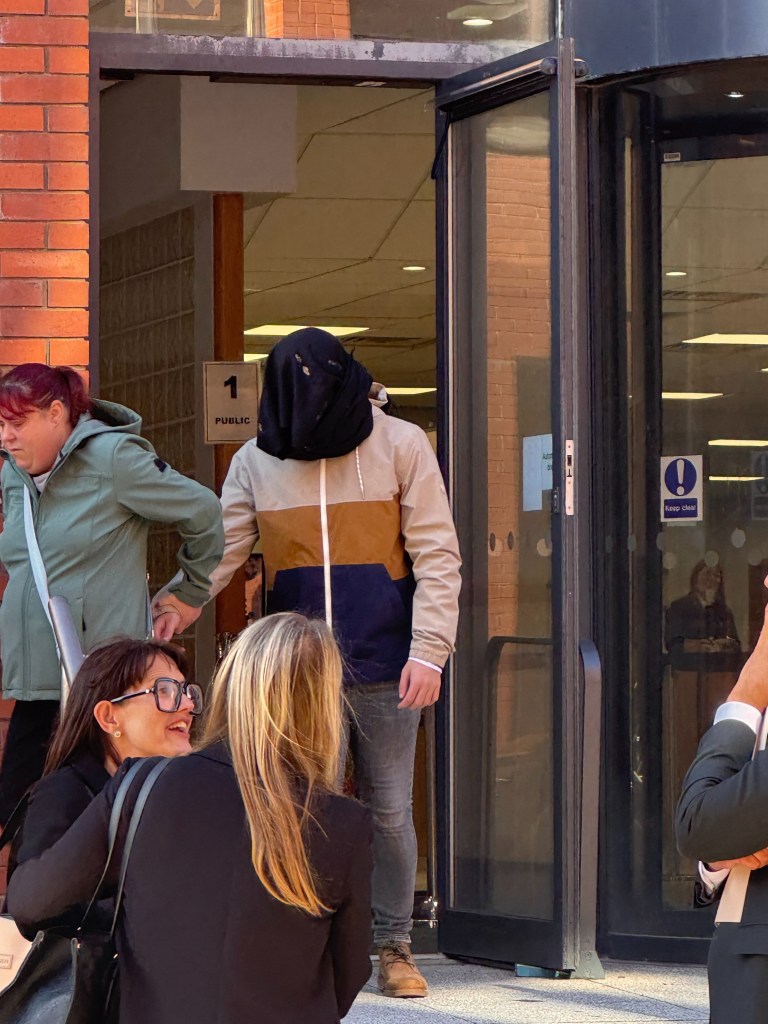 Teen faces sentencing after pleading guilty to trying sex act with Shetland pony