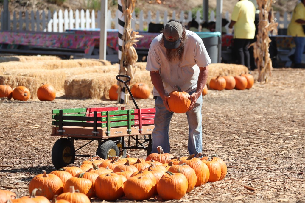 Novel way Californians are scrimping on Halloween amid cost of living crisis: ‘Hanging in there’