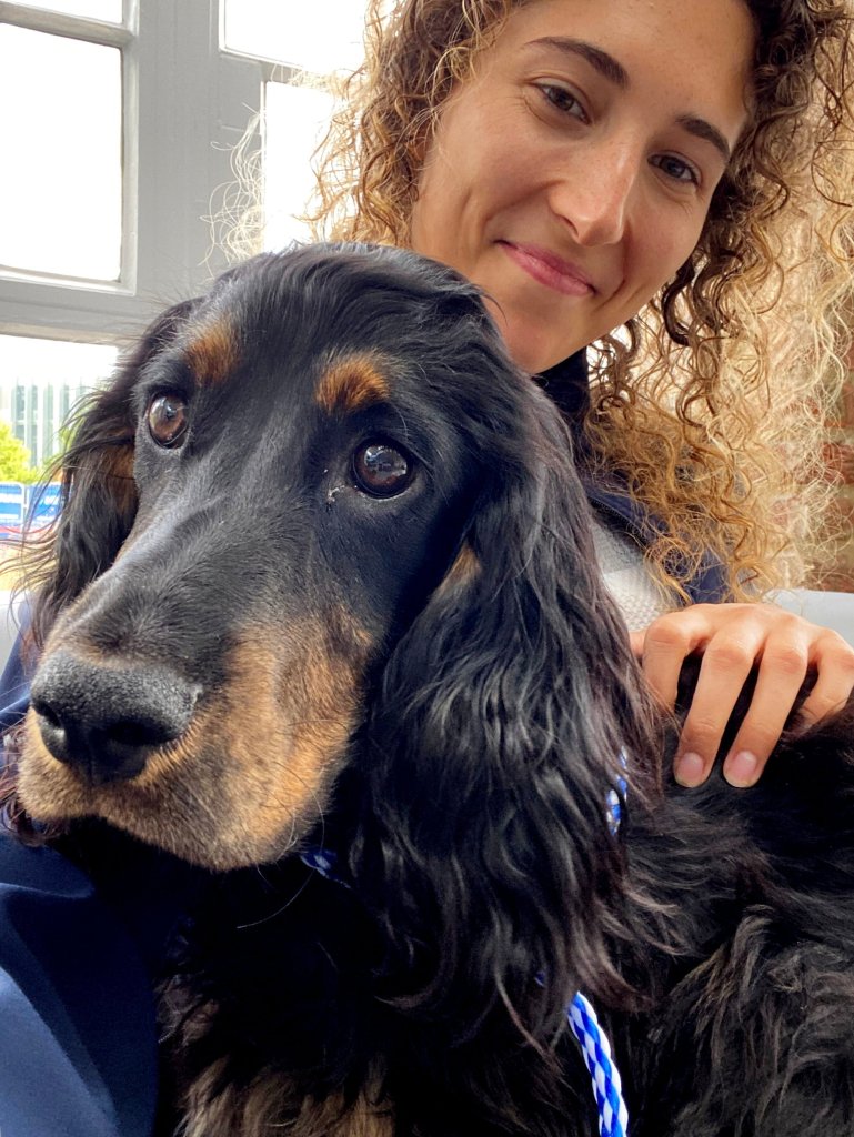 Vet saves critically ill cat’s life by using dog’s blood