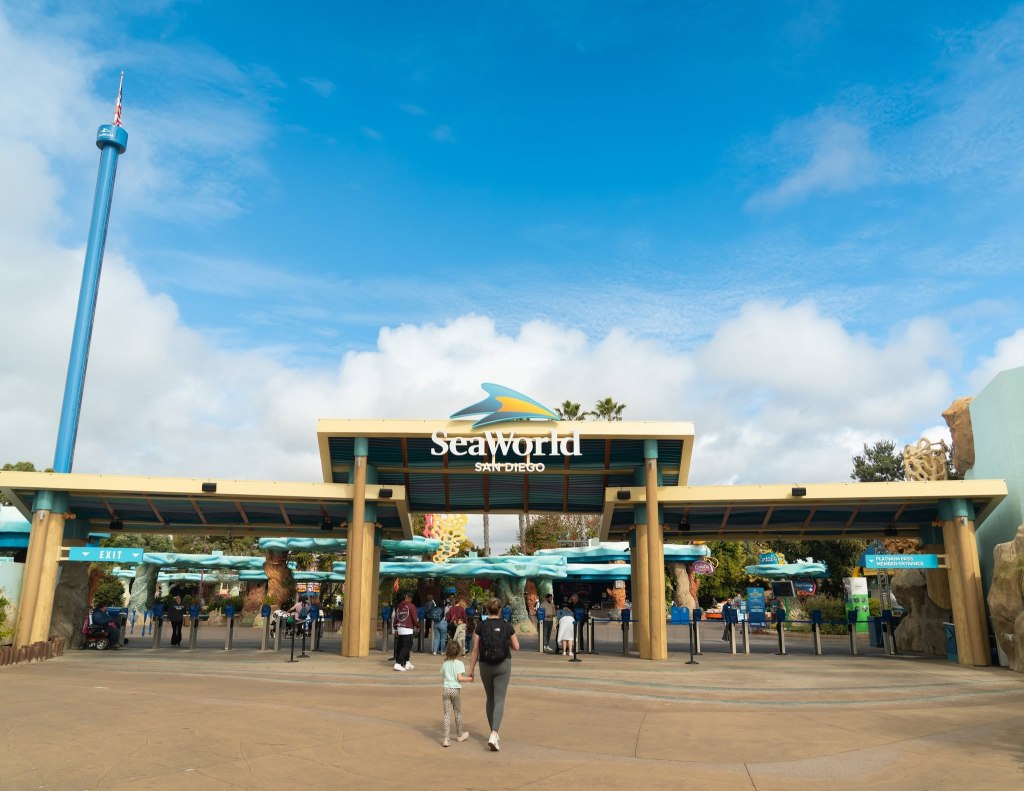 Beluga whale dies at SeaWorld San Diego, weeks after Canadian rescue