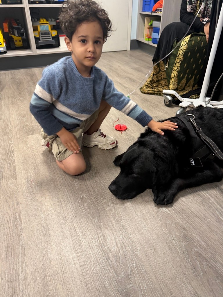 Meet NYC’s ‘doctor dogs’ who are helping hospitalized kids heal