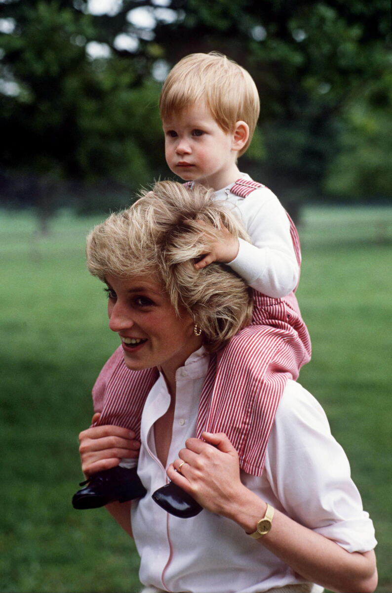 Prince Harry admits he speaks to a portrait of mom Princess Diana — and always asks the same question