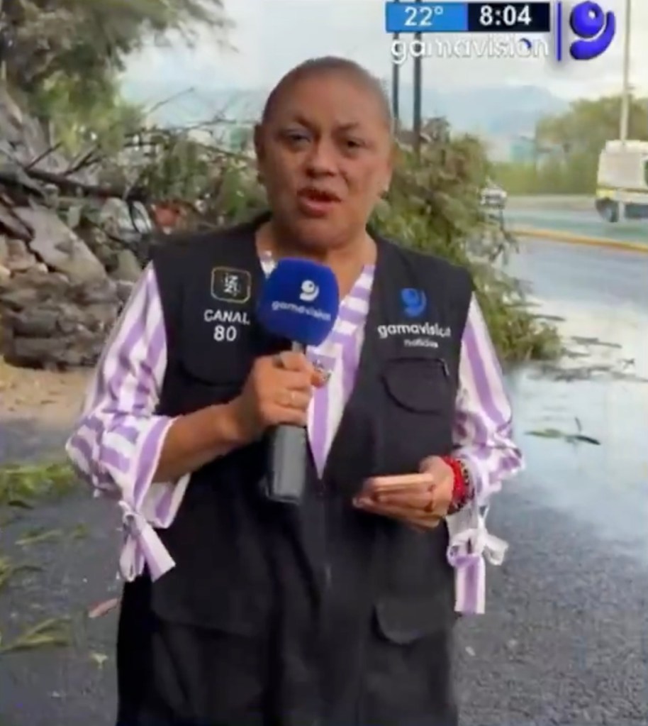 Mexico TV correspondent and cameraman are slammed by SUV during live broadcast: video