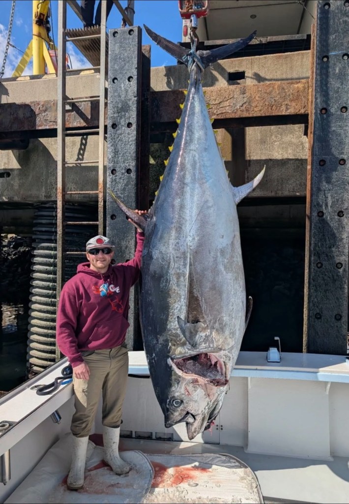 New Hampshire fisherman reels in record-breaking 1,116-pound bluefin tuna, smashing state mark