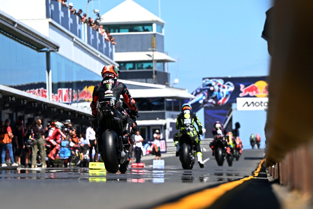 MotoGP race suspended after adorable wallaby makes way onto track