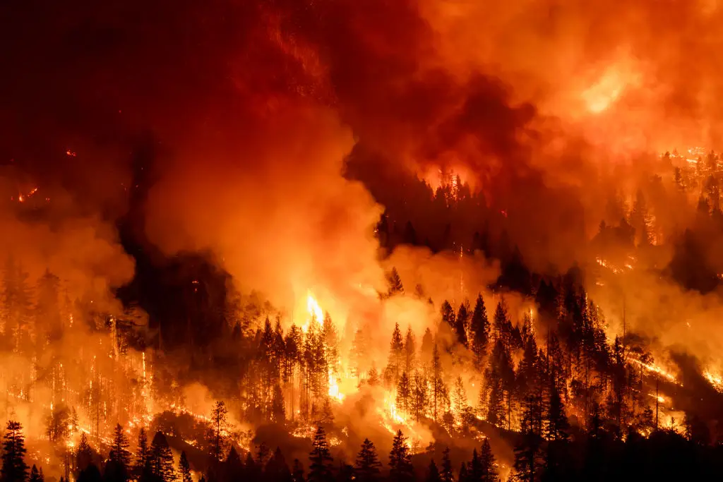 Scientists issue severe warning after discovering seven of Earth's 'vital signs' have been breached