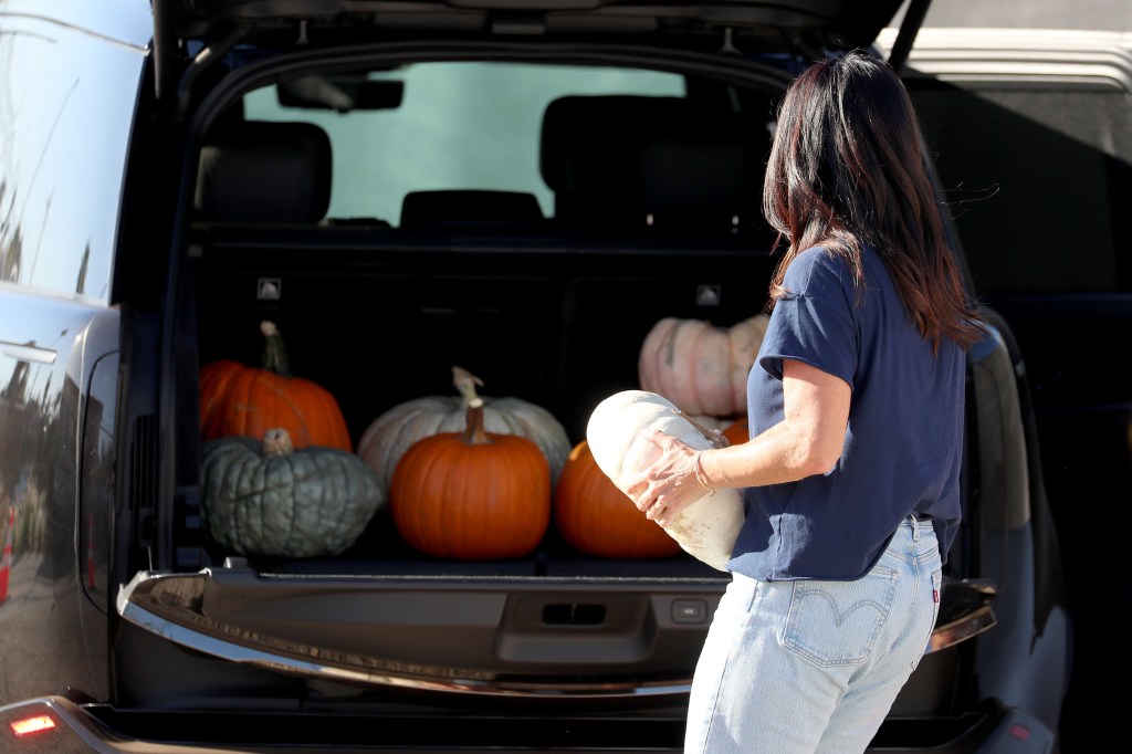 Novel way Californians are scrimping on Halloween amid cost of living crisis: ‘Hanging in there’