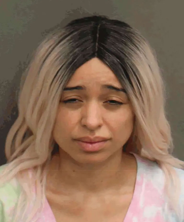 Accused shooter ‘wanted to kill Rihanna, everyone else was collateral damage’: prosecutors