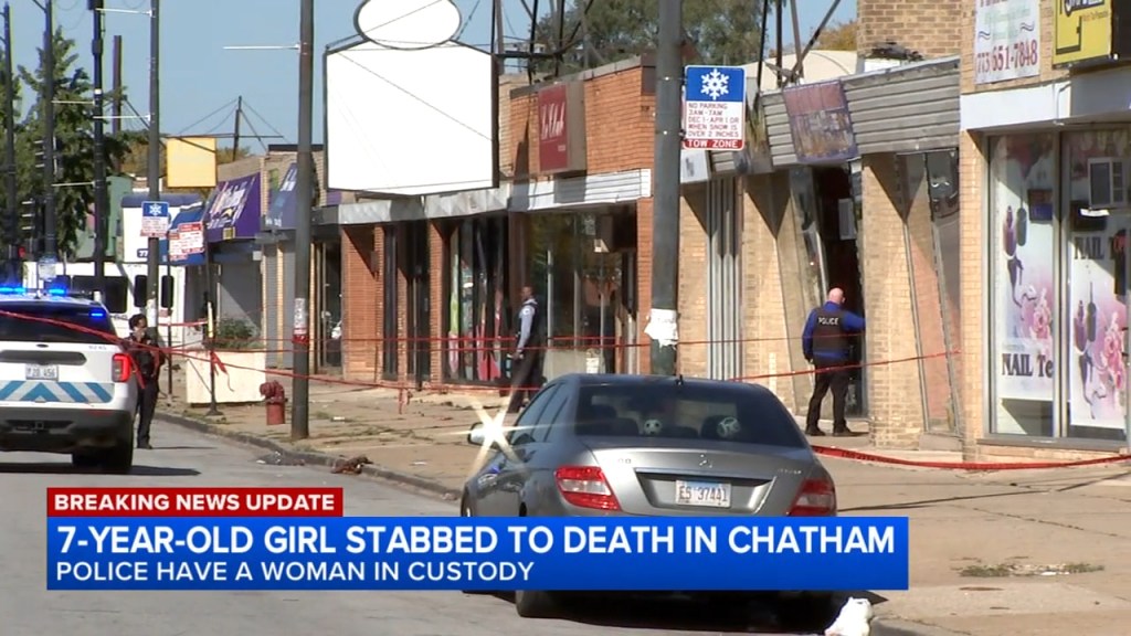 7-year-old Chicago girl stabbed to death in the street by unhinged stranger