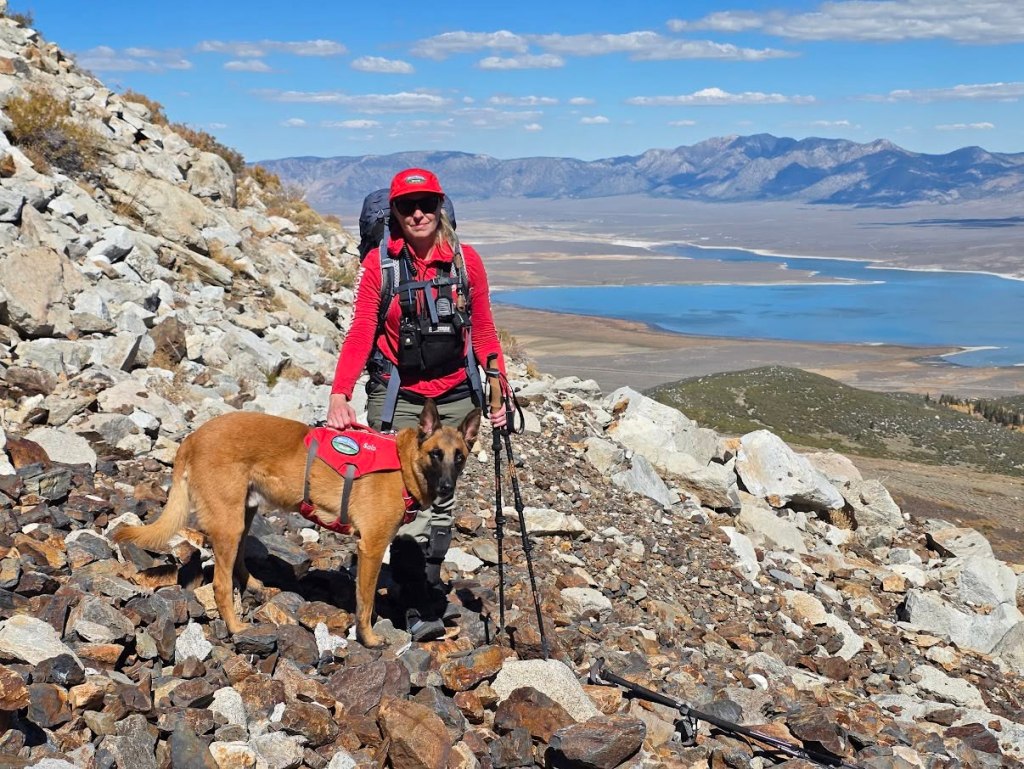 Climber plunges to his death after summiting dangerous 13,000-foot California peak