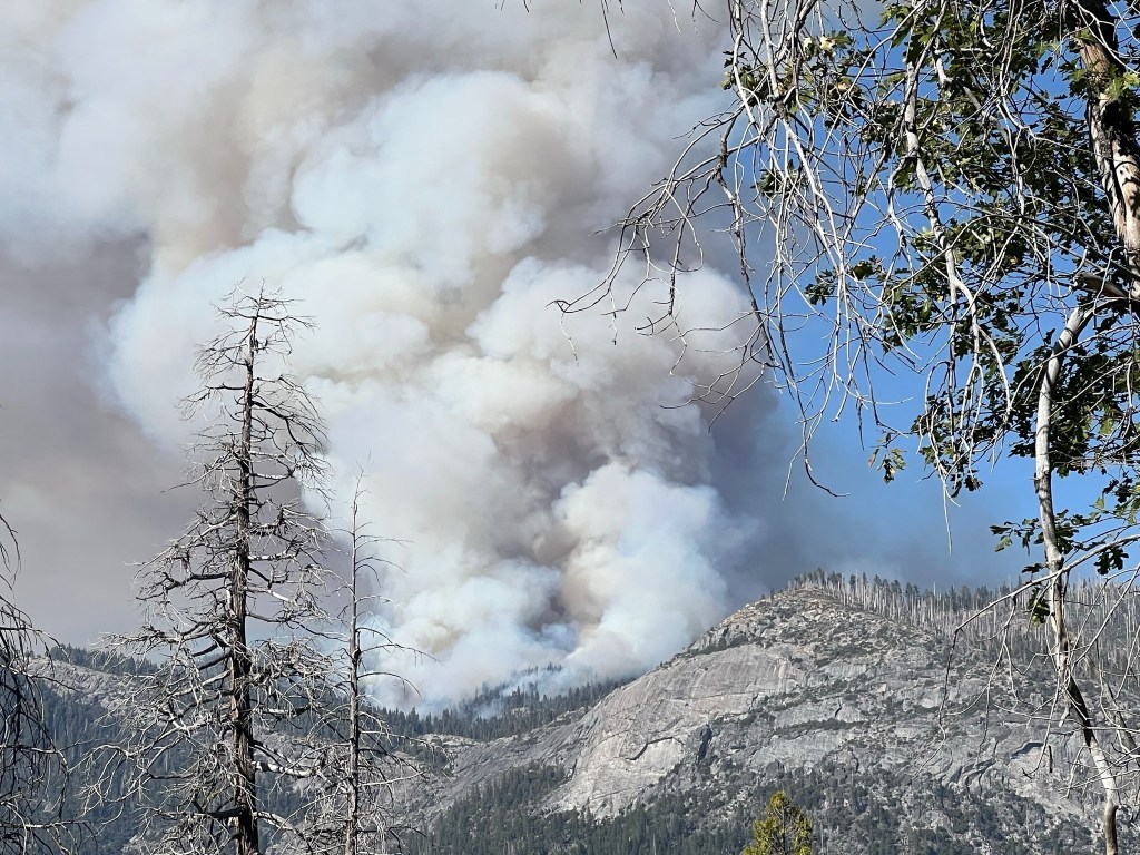 Wife’s heart-wrenching tribute to hero pilot killed while battling Yosemite inferno