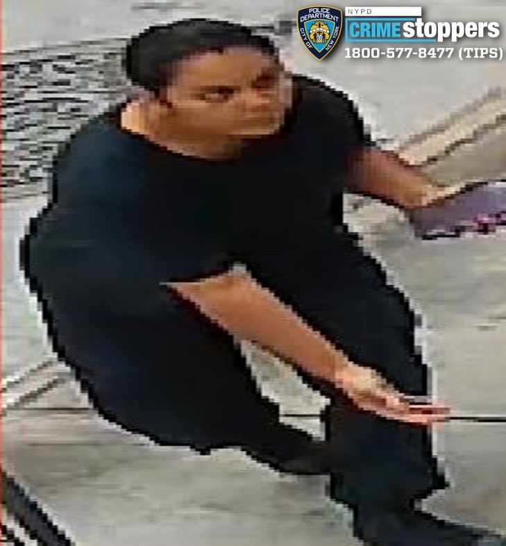 Dog-gone shame — crooks steal Yorkshire Terrier named Chanel from NYC yard