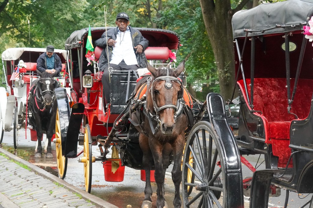 Horse carriage union sues NYC moments after politicians vote to end Central Park tradition
