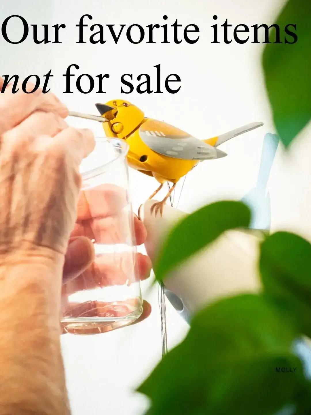 $15 million bird at the centre of Kelly Clarkson store feud 'breaks silence' with 'Karen' claim