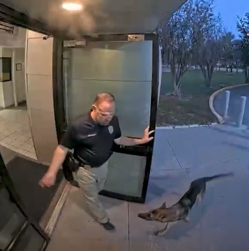Lost Florida dog shows up at police station — as officer helps reunite ‘K-9 applicant’ with tearful owner