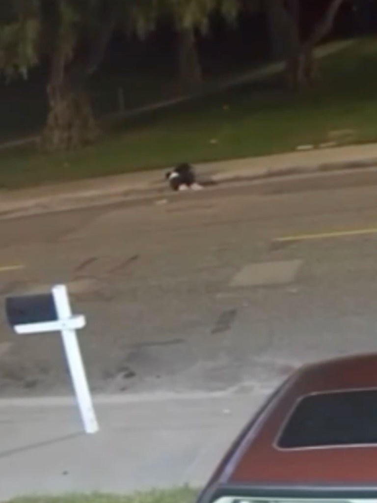 Horrific moment man drops woman on SoCal street and speeds off in white truck chilling video shows