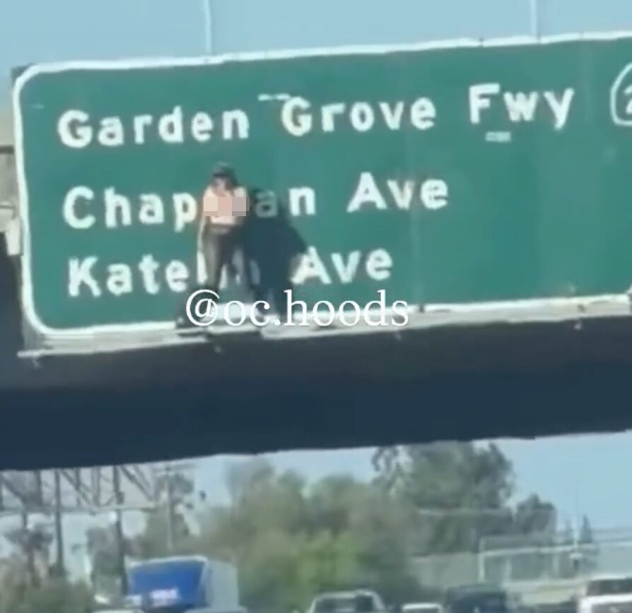 Topless maniac sparks California freeway chaos by scaling bridge, snarling traffic