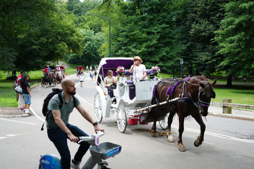 NYC Central Park’s horse-drawn carriages to be banned under new Mamdani deal