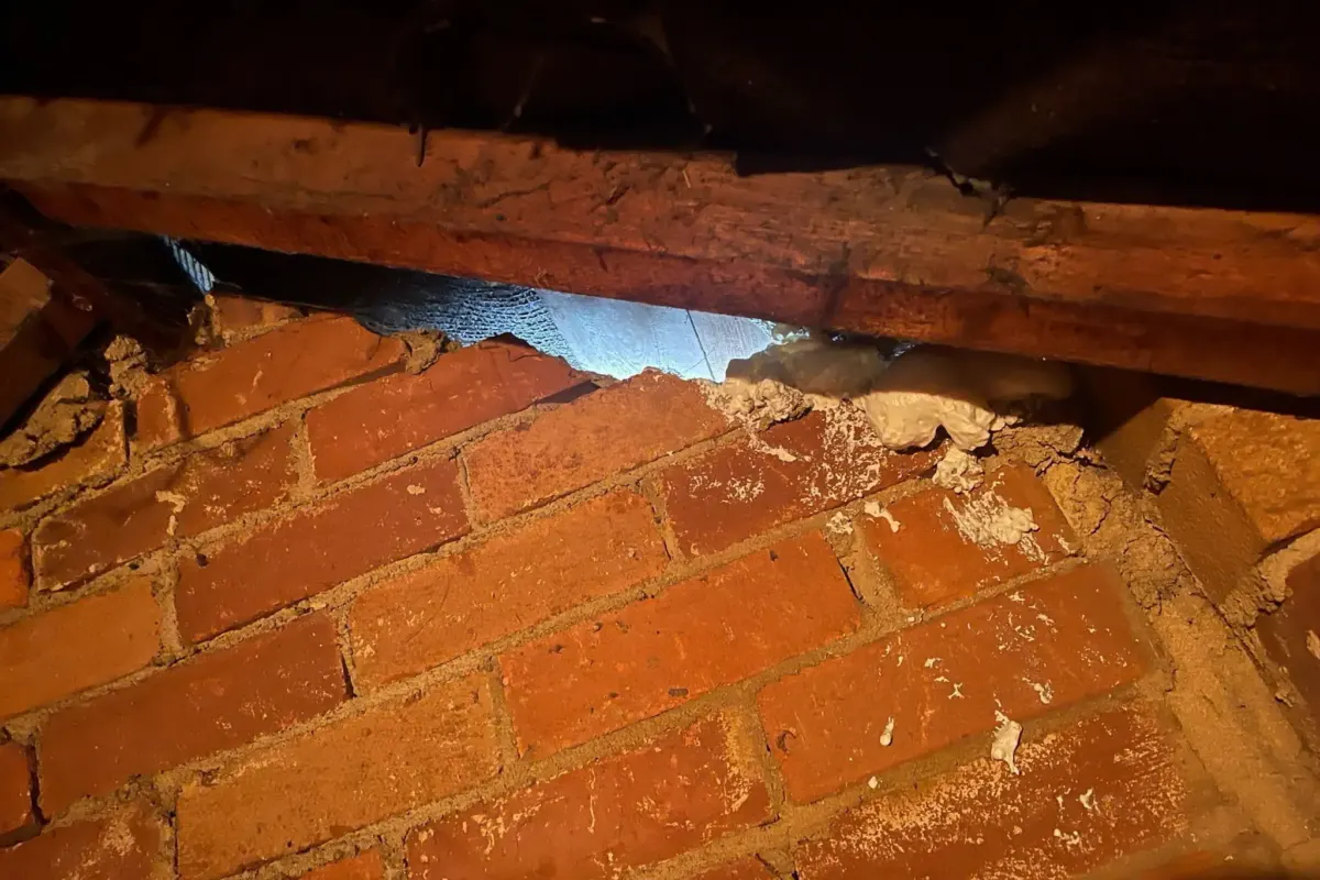 Woman fuming after neighbour illegally demolishes the other half of her semi-detached house