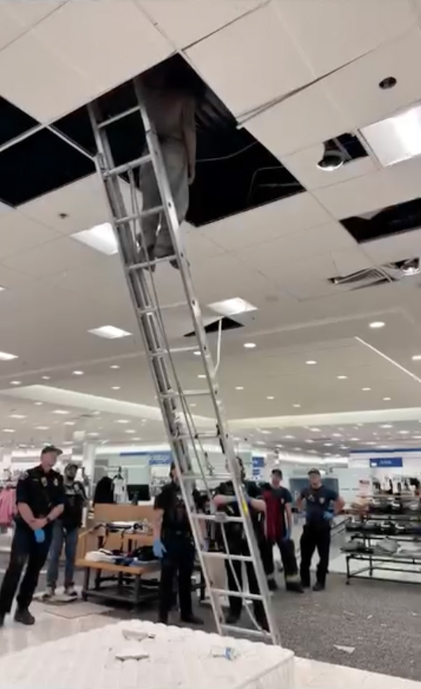 Shirtless burglar hiding in ceiling of Macy’s store dramatically falls from overhead space: shocking video