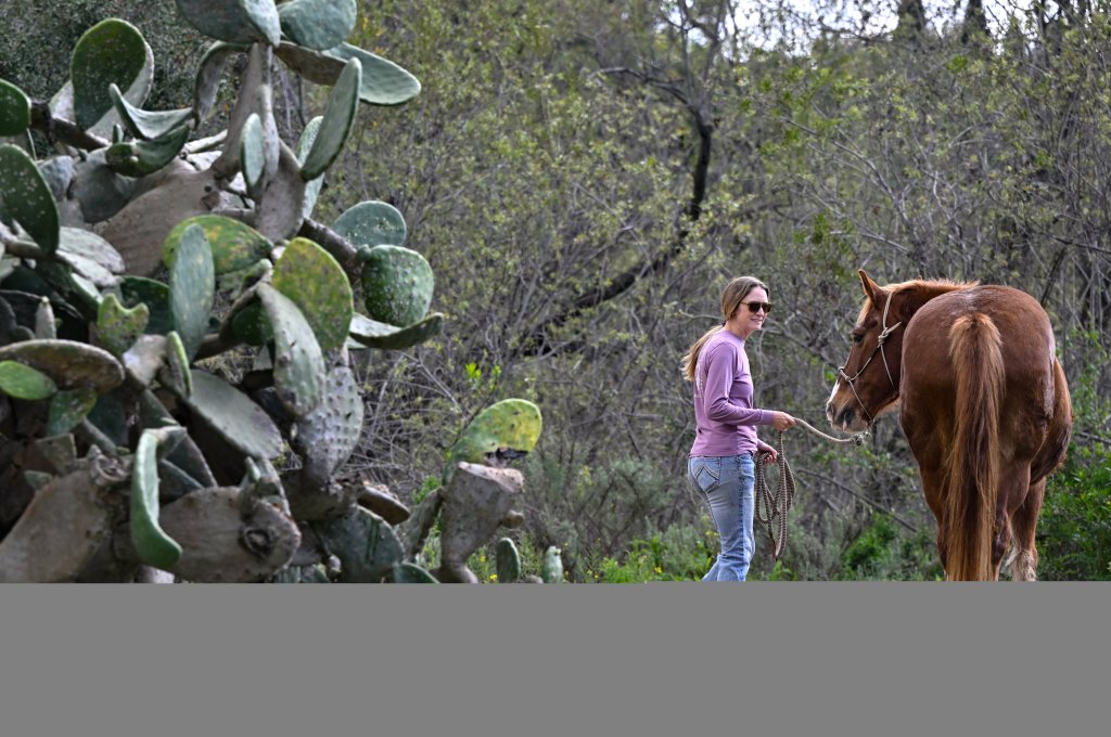 SoCal woman develops scary symptoms months after moving to scenic enclave as outraged neighbors revolt